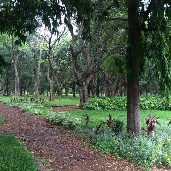 BNHS Environment Day Walk at Cubbon Park, Bengaluru