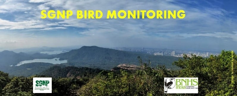SGNP Bird Monitoring Programme
