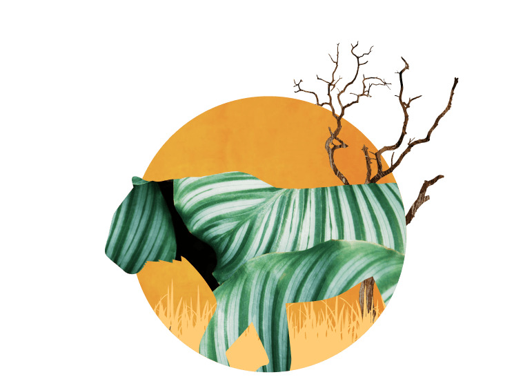 Tiger with tropical leaf pattern walking through grass