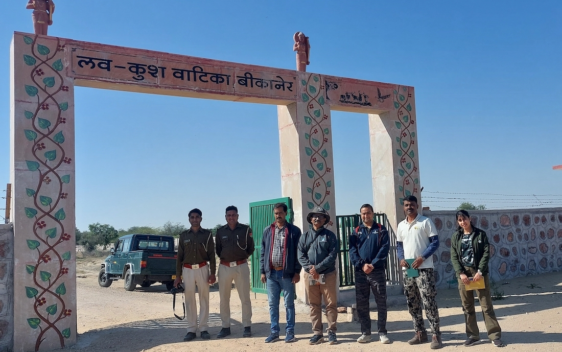 जोड़बीड़-गाढवाला संरक्षण आरक्षित क्षेत्र: राजस्थान के रेगिस्तानी परिदृश्य में गिद्धों का जीवनदायक आश्रय