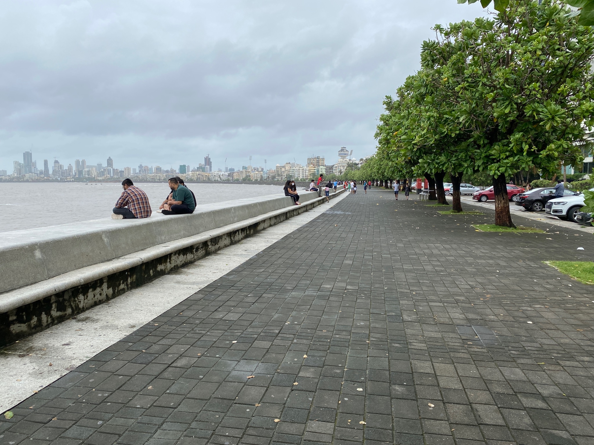 Tree Walk at Marine Drive