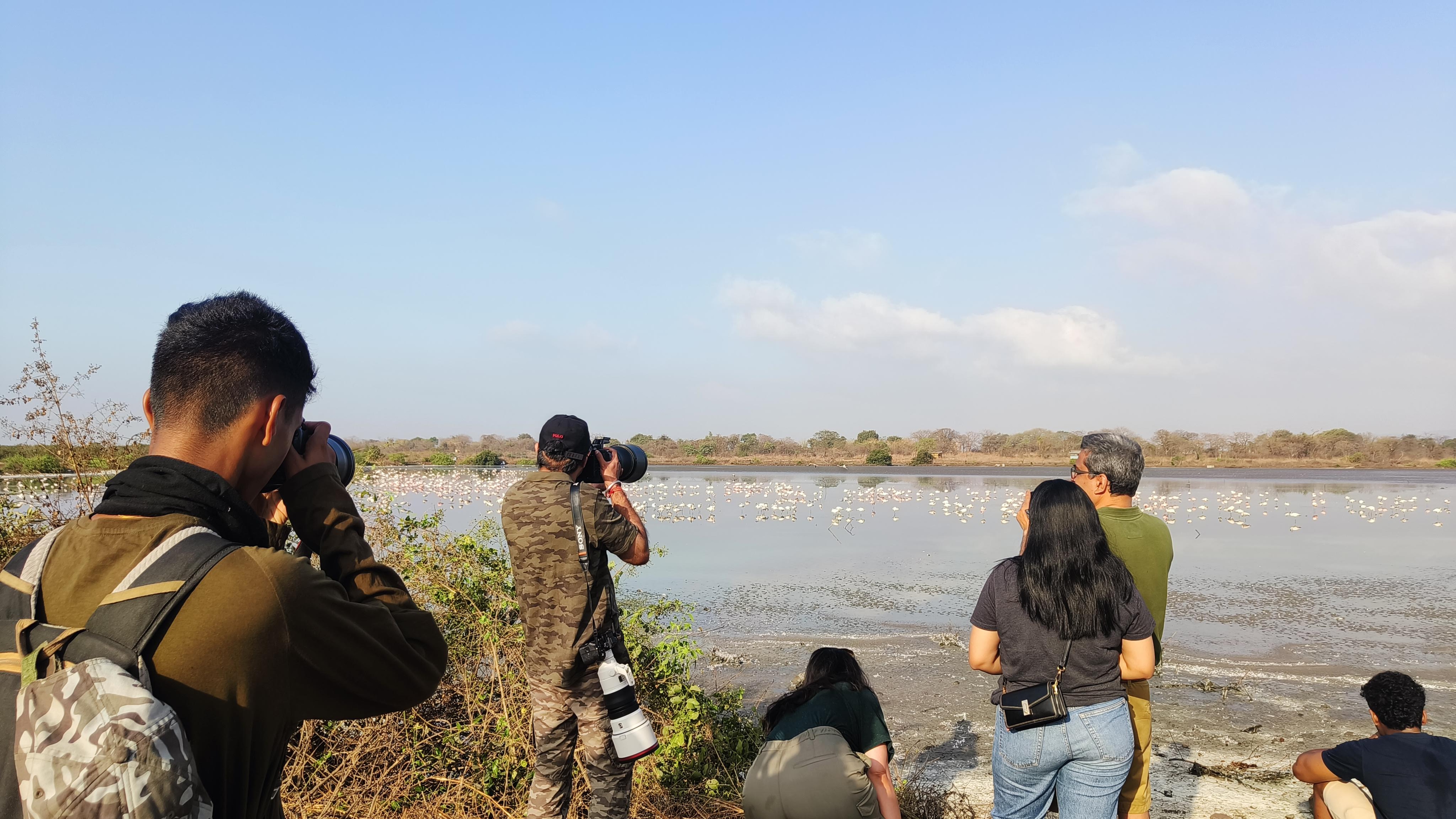 BNHS Flamingo Watch at TS Chanakya