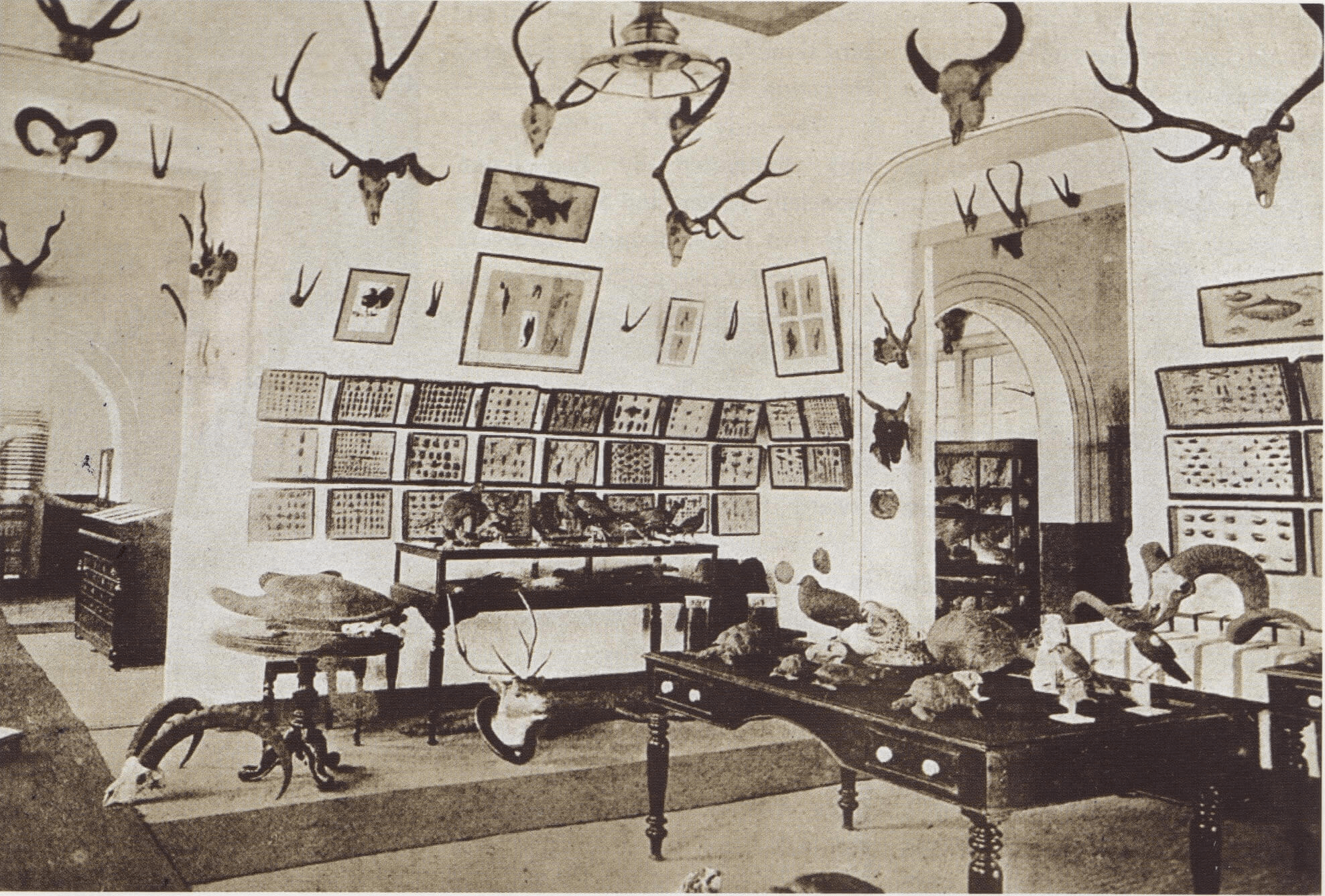 Hornbill House interior