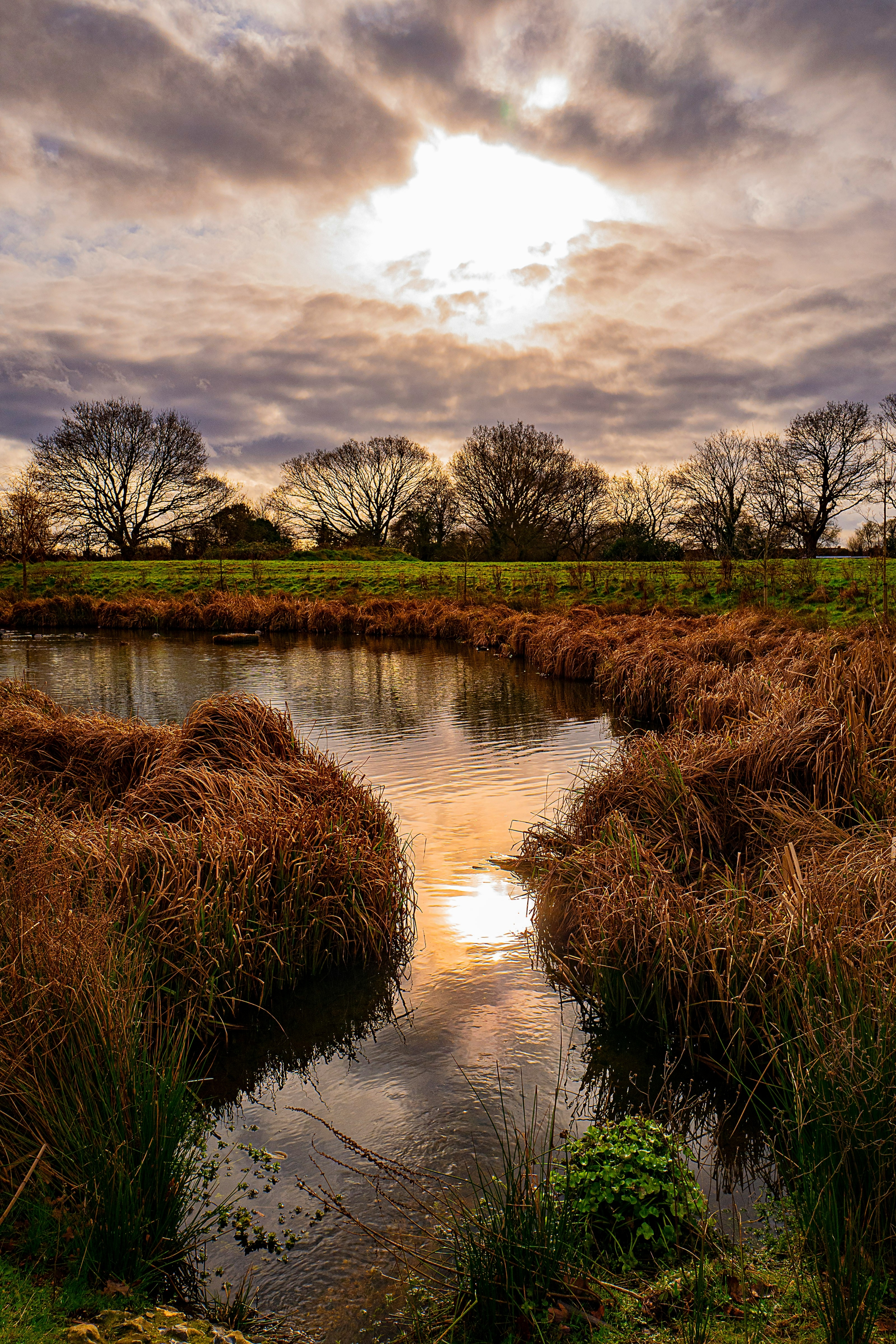 Wetlands Programmes