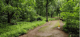 BNHS event placeholder image