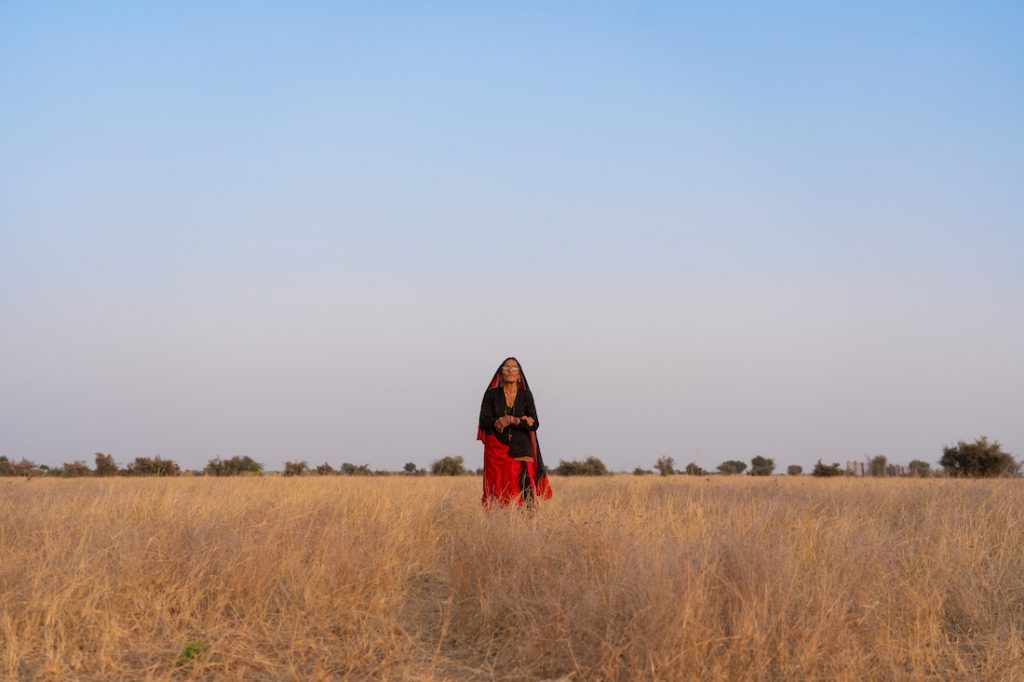Mangli Devi admiring the grassland reserve of BNHS in Khetolai that has been built on land dedicated by the Bishnois for wildlife conservation.
